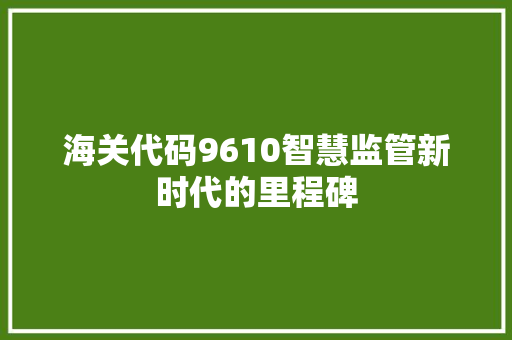 海关代码9610智慧监管新时代的里程碑