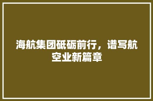 海航集团砥砺前行，谱写航空业新篇章