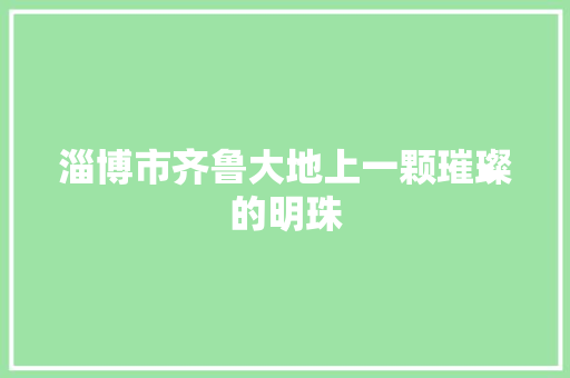 淄博市齐鲁大地上一颗璀璨的明珠
