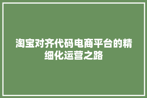 淘宝对齐代码电商平台的精细化运营之路