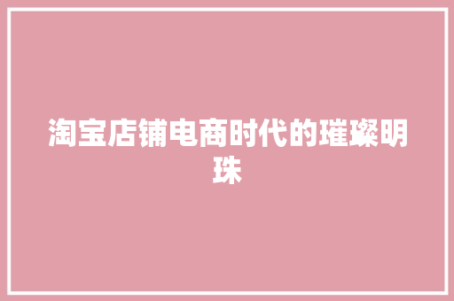 淘宝店铺电商时代的璀璨明珠
