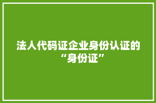法人代码证企业身份认证的“身份证”