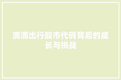 滴滴出行股市代码背后的成长与挑战