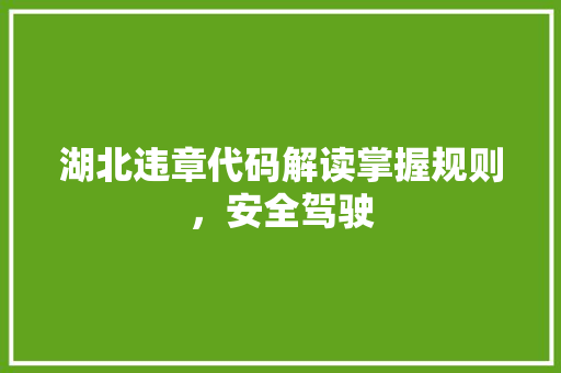 湖北违章代码解读掌握规则，安全驾驶