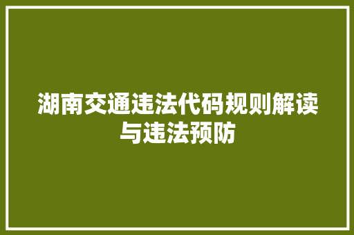 湖南交通违法代码规则解读与违法预防