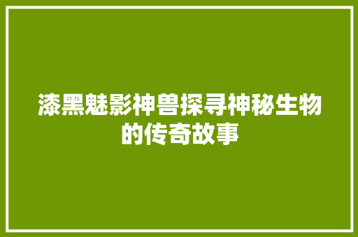 漆黑魅影神兽探寻神秘生物的传奇故事