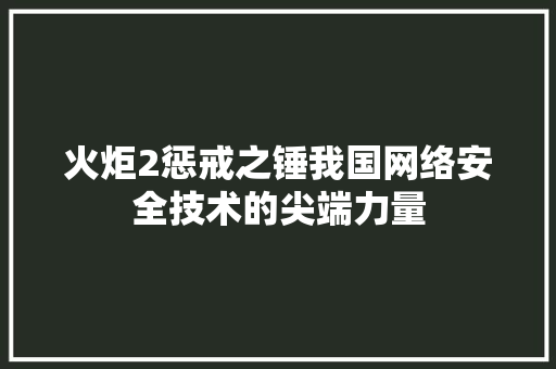 火炬2惩戒之锤我国网络安全技术的尖端力量