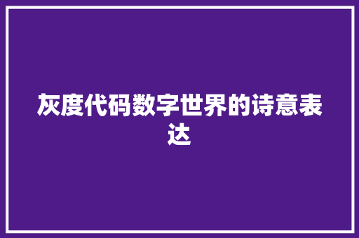 灰度代码数字世界的诗意表达