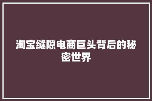 淘宝缝隙电商巨头背后的秘密世界