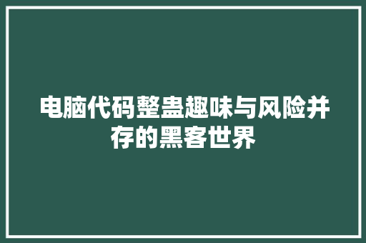 电脑代码整蛊趣味与风险并存的黑客世界