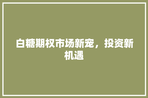 白糖期权市场新宠，投资新机遇