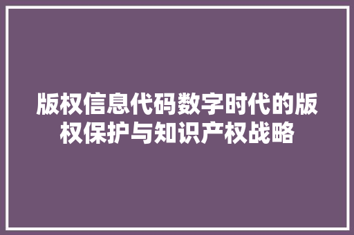 版权信息代码数字时代的版权保护与知识产权战略