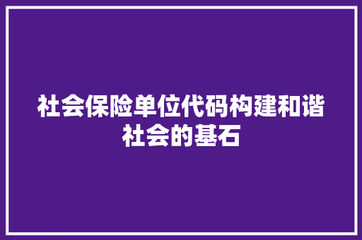 社会保险单位代码构建和谐社会的基石