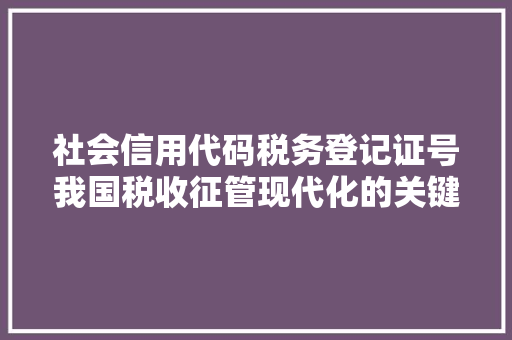 社会信用代码税务登记证号我国税收征管现代化的关键一环