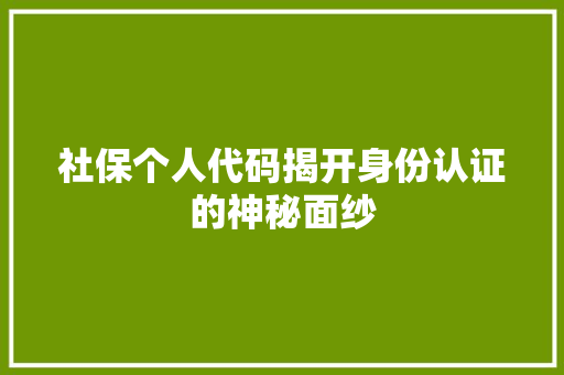 社保个人代码揭开身份认证的神秘面纱